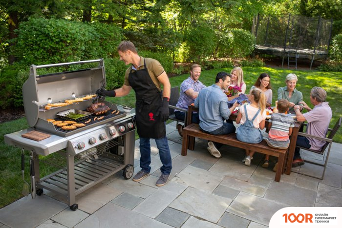 Weber GENESIS II E-610 GBS (144227)