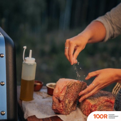 Weber GENESIS E-325S (144223)