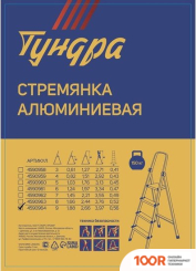 Лестница Tundra 4590964 (143331)