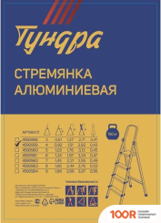 Лестница Tundra 4590959 (143330)