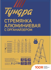 Лестница Tundra 4590955 (143328)