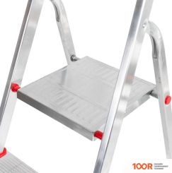 Лестница Rexant 12-5049 (8 СТУПЕНЕЙ) (143185)