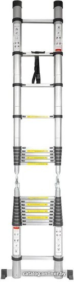 Лестница FORSAGE F-UP310-M (10 СТУПЕНЕЙ) (143107)