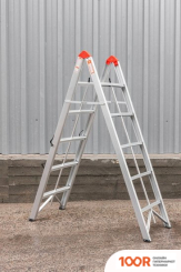 Лестница FORSAGE F-TL603-5 (2X5 СТУПЕНЕЙ) (143092)