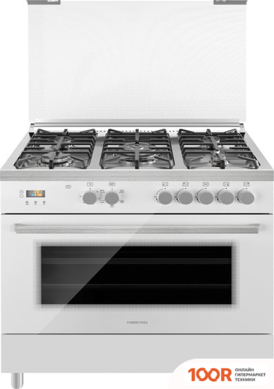 Кухонная плита Hiberg FЕG 950-25 MW (141973)