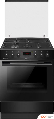 Кухонная плита Hansa FCMS68249 (141916)