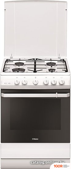 Кухонная плита Hansa FCGW621109 (141892)