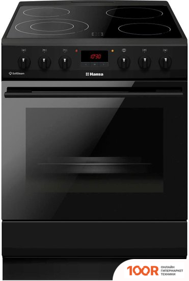 Кухонная плита Hansa FCCM58209H (141838)
