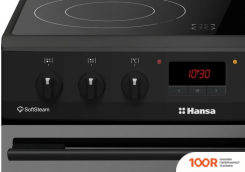 Кухонная плита Hansa FCCM58209H (141838)