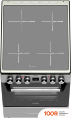 Кухонная плита Darina PLS ECI241 616 1S (141457)