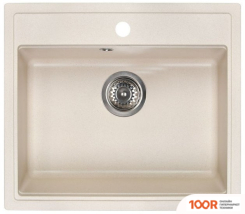 Кухонная мойка Wisent 600-30W (С СИФОНОМ GER013) (139643)