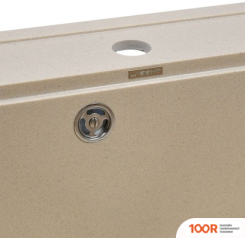 Кухонная мойка Wisent 600-30W (С СИФОНОМ GER013) (139643)