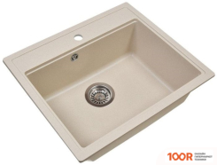 Кухонная мойка Wisent 600-30W (С СИФОНОМ GER013) (139643)