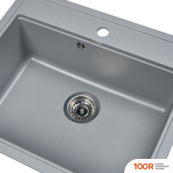 Кухонная мойка Wisent 600-29W (С СИФОНОМ GER013) (139642)