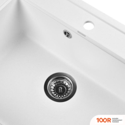 Кухонная мойка Wisent 600-28W (С СИФОНОМ GER013) (139641)