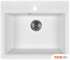 Кухонная мойка Wisent 600-28W (С СИФОНОМ GER013) (139641)