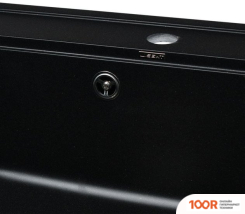 Кухонная мойка Wisent 600-25W (С СИФОНОМ GER013) (139638)