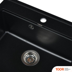 Кухонная мойка Wisent 600-25W (С СИФОНОМ GER013) (139638)