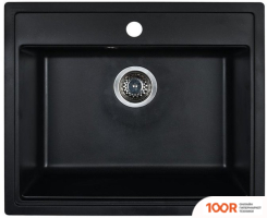 Кухонная мойка Wisent 600-25W (С СИФОНОМ GER013) (139638)