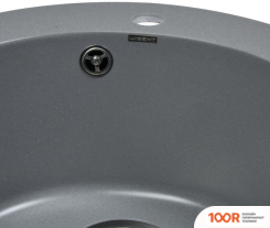 Кухонная мойка Wisent 510-29WR (С СИФОНОМ GER013) (139629)