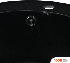 Кухонная мойка Wisent 510-25WR (С СИФОНОМ GER013) (139621)