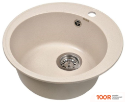 Кухонная мойка Wisent 480-30WR (С СИФОНОМ GER013) (139619)