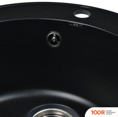 Кухонная мойка Wisent 480-25WR (С СИФОНОМ GER013) (139614)