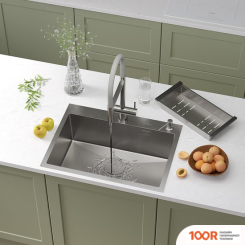 Кухонная мойка Roxen SIMPLE 560220-65 (137572)