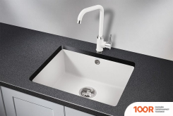 Кухонная мойка Granula GR-5551 (АРКТИК) (134447)