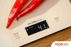 Кухонные весы Zelmer ZKS1100 (128203)