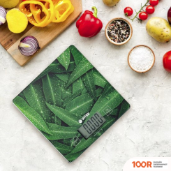 Кухонные весы Vitek VT-8035 (128189)