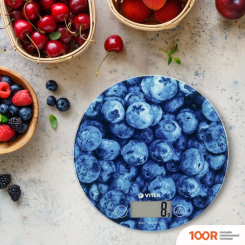 Кухонные весы Vitek VT-8021 (128182)