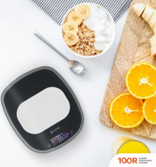 Кухонные весы Vitek VT-8013 (128176)