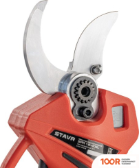 Ставр 9060600030 (127584)