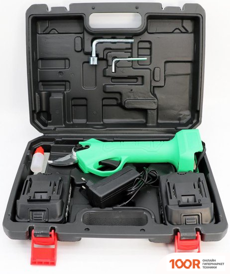 Zitrek GREENNER 20 082-1855 (С 2-МЯ АКБ, КЕЙС) (127572)