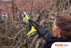 Ryobi RY18SCXA-0 (БЕЗ АКБ) (127495)