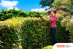 Ryobi RHT5655RS (127476)