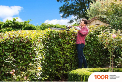 Ryobi RHT1850H25HS 5133003660 (С 1-ИМ АКБ) (127470)