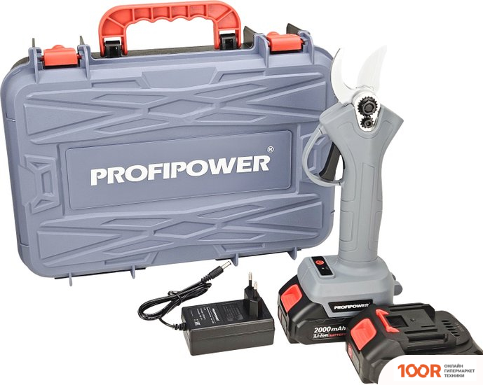 Profipower MKGSP-18V (С 2-МЯ АКБ, КЕЙС) (127462)