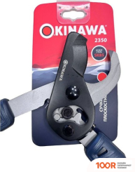 Okinawa 2350 (127448)