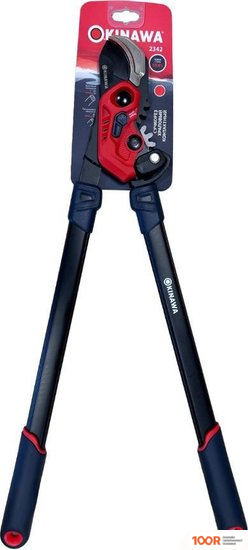 Okinawa 2342 (127447)