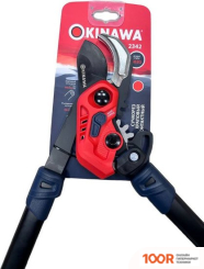 Okinawa 2342 (127447)