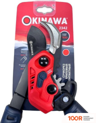 Okinawa 2342 (127447)