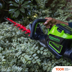 Greenworks GC82HT2 2208307 (БЕЗ АКБ) (127349)