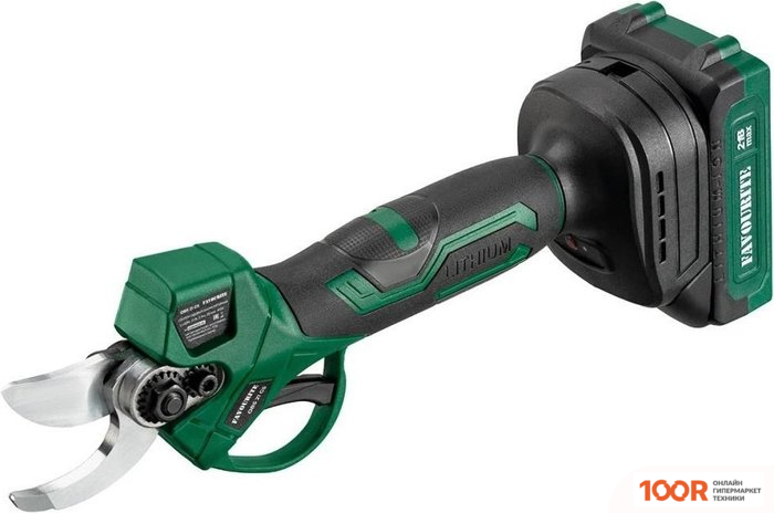 Favourite OBS 21 GS (С 1-ИМ АКБ) (127319)