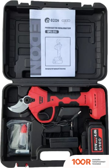 Edon UPS-21A (С 1-ИМ АКБ, КЕЙС) (127278)