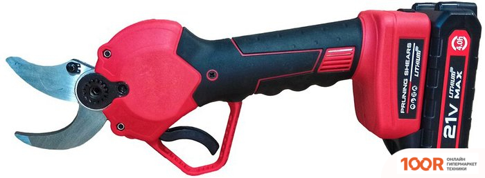 Edon UPS-21/100 (С 2-МЯ АКБ) (127277)