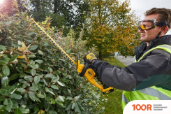 DeWalt DCM563P1 (С 1-ИМ АКБ) (127258)