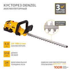Denzel RBC510-36 59410 (С 2-МЯ АКБ) (127257)