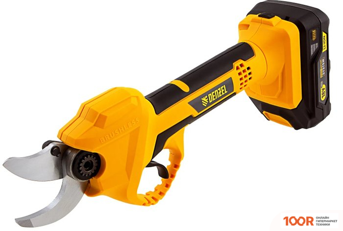 Denzel CP-30 (С 1-ИМ АКБ) (127254)